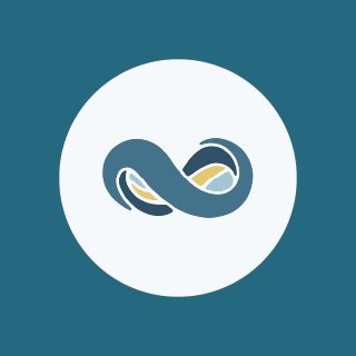 NetSuite Icon